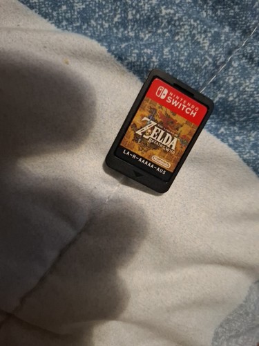 The legend zelda breath of - legend,